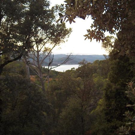 La Genestiere Bed and Breakfast Clermont-lʼHérault Εξωτερικό φωτογραφία
