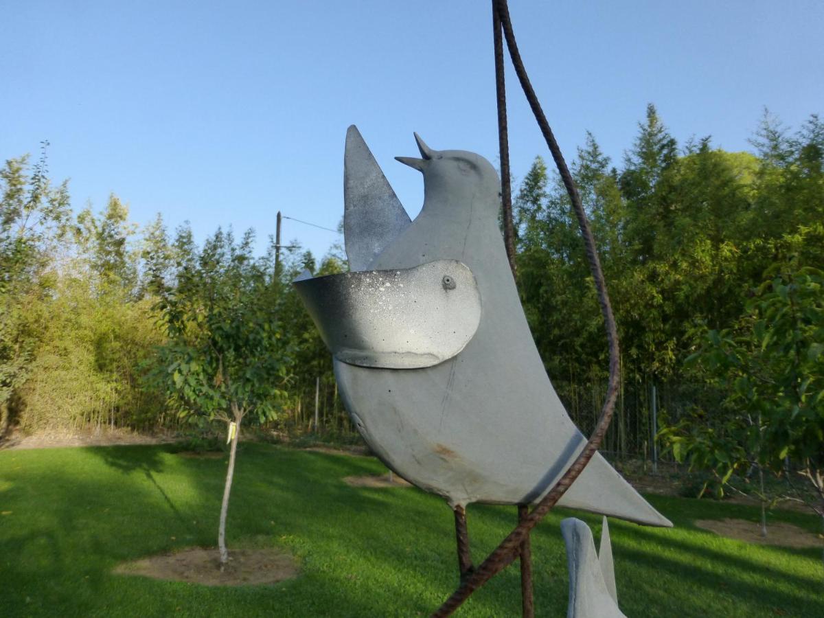 La Genestiere Bed and Breakfast Clermont-lʼHérault Εξωτερικό φωτογραφία